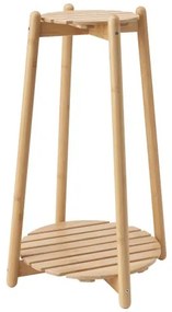 DAKSJUS ανθοστήλη, 60 cm 705.670.18