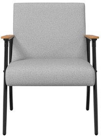 vidaXL Πολυθρόνα Σκίουρος Γκρί 59 x 75 x 78 εκ ύφασμα