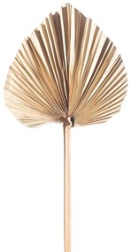 Τεχνητό Φύλλο Φοίνικα Serenoa 2081-7 25x25x60cm Natural Supergreens Ύφασμα,Πλαστικό