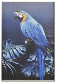 Πίνακας Καμβάς Blue Popinjay 016259 82x122x5cm Multi Κάθετοι Wood, Canvas
