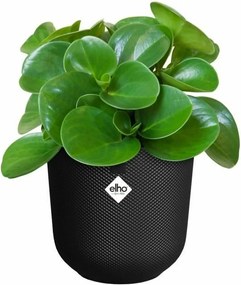 Βάζο Λουλουδιών Elho