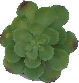 Τεχνητό Φυτό σε Κεραμικό Γλαστράκι 8x14cm