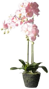 Supergreens Τεχνητό Φυτό Ορχιδέα Phalaenopsis Real Touch Ροζ με Βάση Moss 85 εκ.