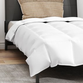 vidaXL Πάπλωμα με μαξιλάρι 2 pcs Λευκό 140 x 200 cm Πούπουλο