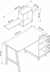 Γραφείο με Βιβλιοθήκη Λευκό / Καρυδί RAEVA 120x60x75