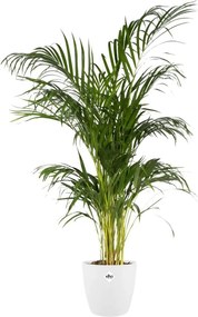 Βάζο Λουλουδιών Elho Λευκό Πλαστική ύλη Στρόγγυλο