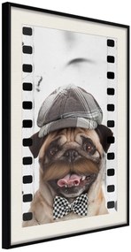 Αφίσα - Dressed Up Pug - 30x45 - Μαύρο - Με πασπαρτού