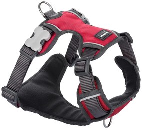 Λουρί Σκύλου Red Dingo Γεμισμένο Κόκκινο Μέγεθος L