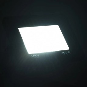 Προβολείς LED 2 τεμ. Ψυχρό Λευκό 20 W - Μαύρο