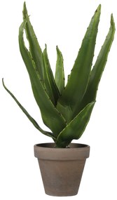 Τεχνητό Φυτό Σε Γλάστρα (Φ16x30) Edelman Aloe Green 1079778