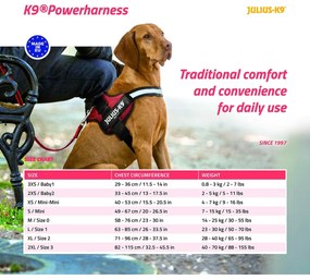 Λουρί Σκύλου Julius K9 Power Μαύρο L 1