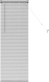 vidaXL Βενετσιάνικες Ρόδες Ασημί 130 x 40 εκ Αλουμίνιο