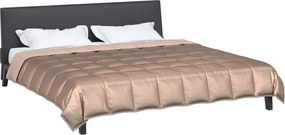 vidaXL Κουβέρτα ολόκληρου του χρόνου Χρυσό 200 x 220 cm