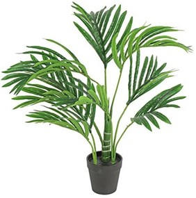 Διακοσμητικό Φυτό Σε Γλάστρα Kentia S 35x45x50cm Green Polyethylene