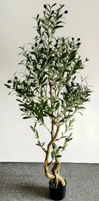 Τεχνητό Διακοσμητικό ΦυτόH150cm  “Olive Tree” Etoile SSD-050