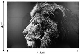 Πίνακας σε καμβά με πλαίσιο Lionner pakoworld mdf 118x3x78εκ