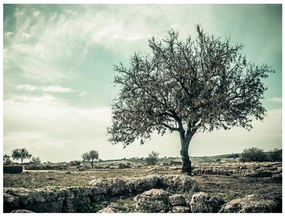 Φωτοταπετσαρία - tree - vintage 250x193