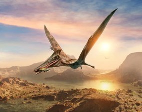 Εικονογράφηση Pterosaur scene 3D illustration, Warpaintcobra