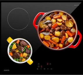 Επαγωγική Πλάκα Oceanic