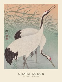 Αναπαραγωγή Two Cranes (Special Edition) - Ohara Koson