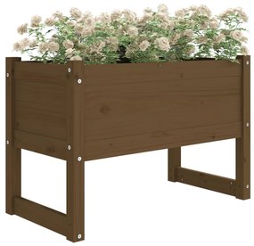 vidaXL Ζαρντινιέρα Καφέ Μελί 78x40x52 εκ. από Μασίφ Ξύλο Πεύκου