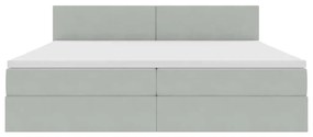 vidaXL Κρεβάτι με αποθηκευτικό χώρο και LED Ανοιχτό γκρι 200 x 200 cm