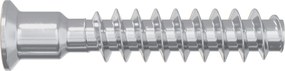 vidaXL Κεφαλή βίδας 2 pcs Ασημί M7 x 40 χλστ Ατσάλι