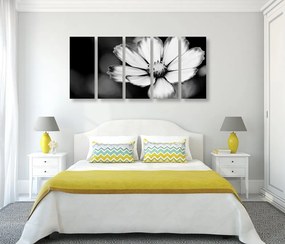 Λουλούδι κήπου 5 τμημάτων εικόνας σε μαύρο & άσπρο - 100x50