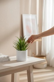 Stewehome Τεχνητός κάκτος σουκλέντ σε λευκή γλάστρα σετ 3 τεμαχίων