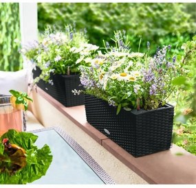 Βάζο Λουλουδιών Lechuza