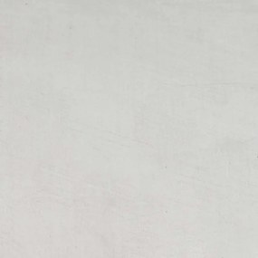 vidaXL Περίγραμμα γκαζόν 20 pcs Ασημί 100 x 0.05 x 20 εκ