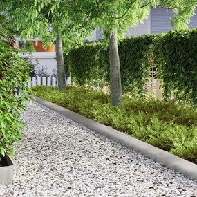 vidaXL Περίγραμμα γκαζόν Ασημί 450 x 0,05 x 20 εκ