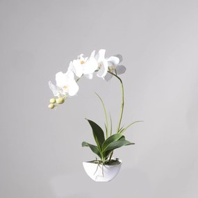 Supergreens Τεχνητό Φυτό Ορχιδέα Phalaenopsis Real Touch Λευκή με Κασπώ 50 εκ.