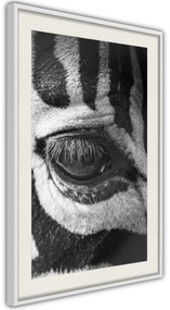 Αφίσα - Zebra Is Watching You - 20x30 - Χρυσό - Χωρίς πασπαρτού