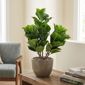 Τεχνητό Φυτό Εσωτερικού & Εξωτερικού Χώρου 61cm 97657