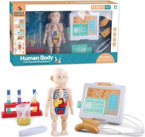 Εκπαιδευτικό παιχνίδι ανατομίας - H326A - 305255