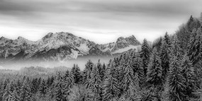 Εικόνα παγωμένων βουνών σε μαύρο & άσπρο - 120x60