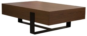 Τραπεζάκι Σαλονιού Ligno 120x80x45