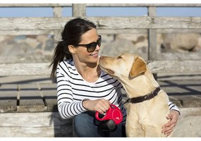 Λουρί Σκύλου Flexi Flexi 5 m Μαύρο S