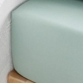 Σεντόνι με λάστιχο από βαμβακερό περκάλι με γύρισμα 40 εκ., Scénario