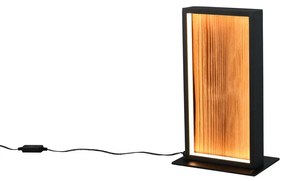 Φωτιστικό Επιτραπέζιο Trio Lighting KALEA 555510130 Wood Coloured 3000K