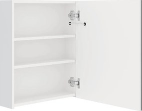 vidaXL Καθρέφτης Μπάνιου με Ντουλάπι &amp; LED Λαμπερό Λευκό 50x14x60 εκ.