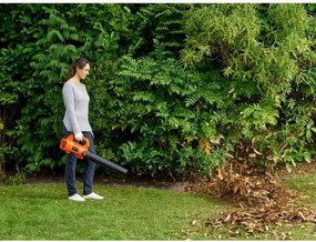 Φυσητήρας Black &amp; Decker BCBL200L-QW Φύλλα