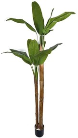 Τεχνητό Δέντρο Μπανανιά Musa Arbor 4411-6 200cm Green-Brown Supergreens Plastic, Fabric