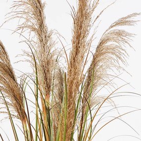 Διακοσμητικό φυτό σε γλάστρα Bulrush Inart Φ65x120εκ