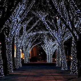 Flash led 500 κουρτίνα 5mm 31v με επέκταση έως 3 διάφανο καλώδιο λευκό χρώμα φωτός