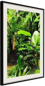 Αφίσα - In the Rainforest - 20x30 - Μαύρο - Με πασπαρτού