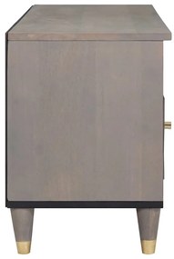 vidaXL Ντουλάπι TV Γκρι και Χρυσό 100 x 33.5 x 46 εκ Μασίφ ξύλο μάνγκο