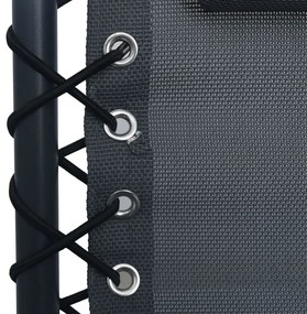 vidaXL Σεζλόνγκ Πτυσσόμενη Γκρι από Textilene