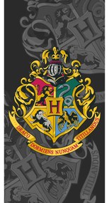 Πετσέτα Θαλάσσης Βαμβακερή Βελούδινη Harry Potter 320gsm - 70 x 140 cm - Γκρι - Borea